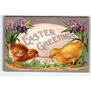 Easter Postcard 1900's Baby Chicks Fight Over Worm Embossed Vintage Greetings